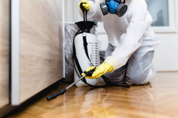 Best Wasp Removal Services  in Madison, AL