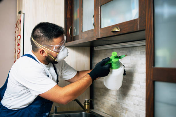 Best Termite Control Services  in Madison, AL