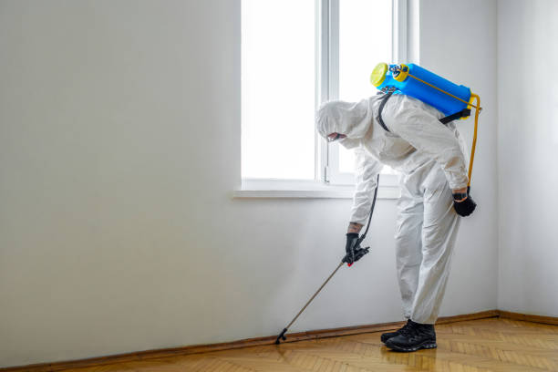 Best Rat Extermination Near Me  in Madison, AL