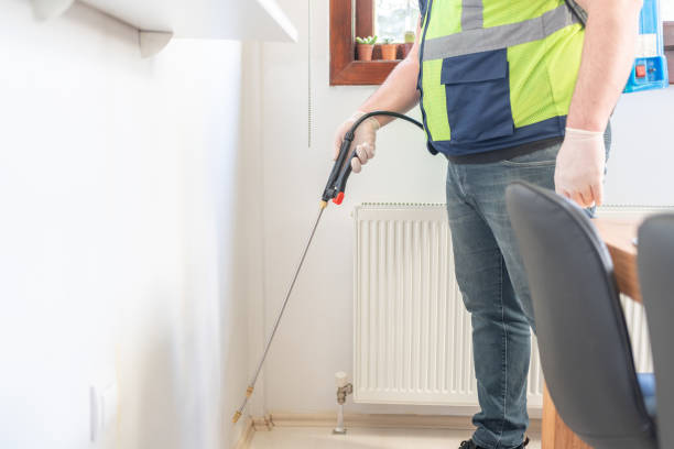 Best Wasp Removal Services  in Madison, AL