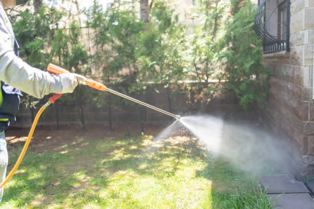 Best Local Pest Control Services  in Madison, AL