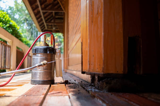 Pest Prevention Services in Madison, AL