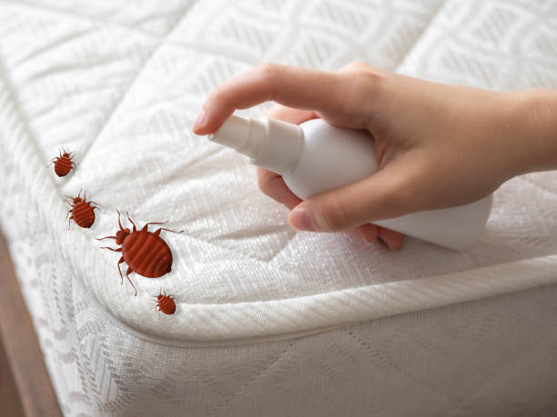 Best Emergency Pest Control  in Madison, AL