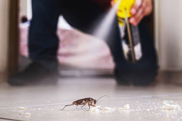 Best Residential Pest Control  in Madison, AL