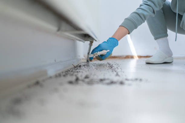 Best Pest Control Near Me in Madison, AL